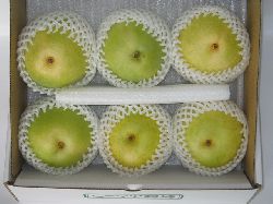 今年の梨はうまいぞ!!　ハウス二十世紀梨、販売開始しました